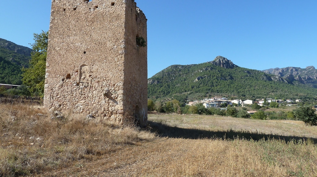 This is a photo of a monument indexed in the Catalan heritage register of Béns Culturals d'Interès Nacional and the Spanish heritage register of Bienes de Interés Cultural under the reference RI-51-0006427.