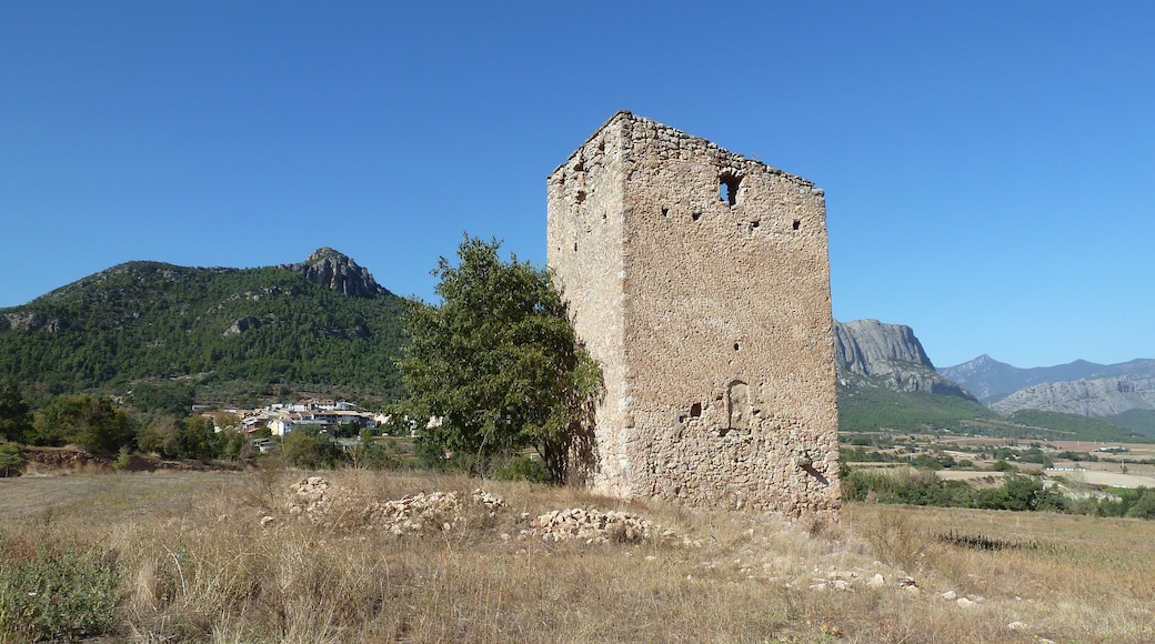 This is a photo of a monument indexed in the Catalan heritage register of Béns Culturals d'Interès Nacional and the Spanish heritage register of Bienes de Interés Cultural under the reference RI-51-0006427.