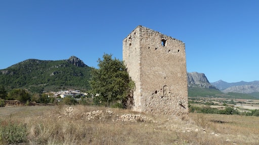 This is a photo of a monument indexed in the Catalan heritage register of Béns Culturals d'InterÚs Nacional and the Spanish heritage register of Bienes de Interés Cultural under the reference RI-51-0006427.