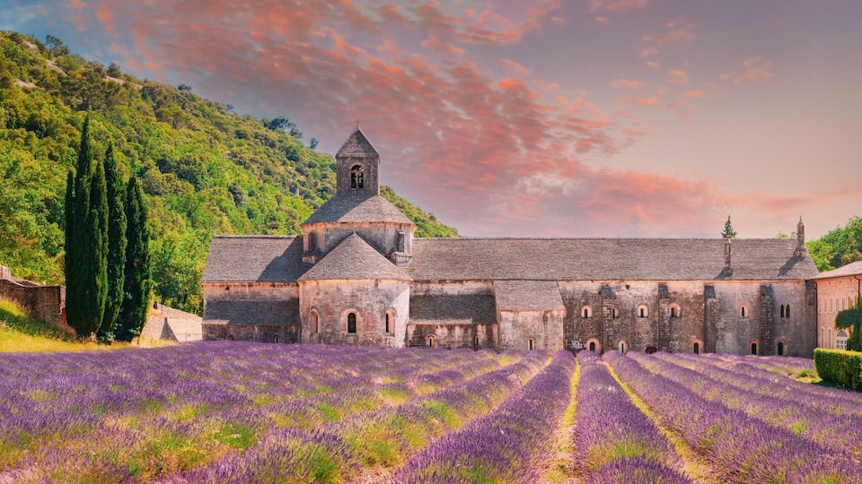 A historic building with a tower, surrounded by a lavender field and a hillside.