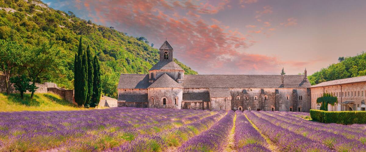 A historic building with a tower, surrounded by a lavender field and a hillside.