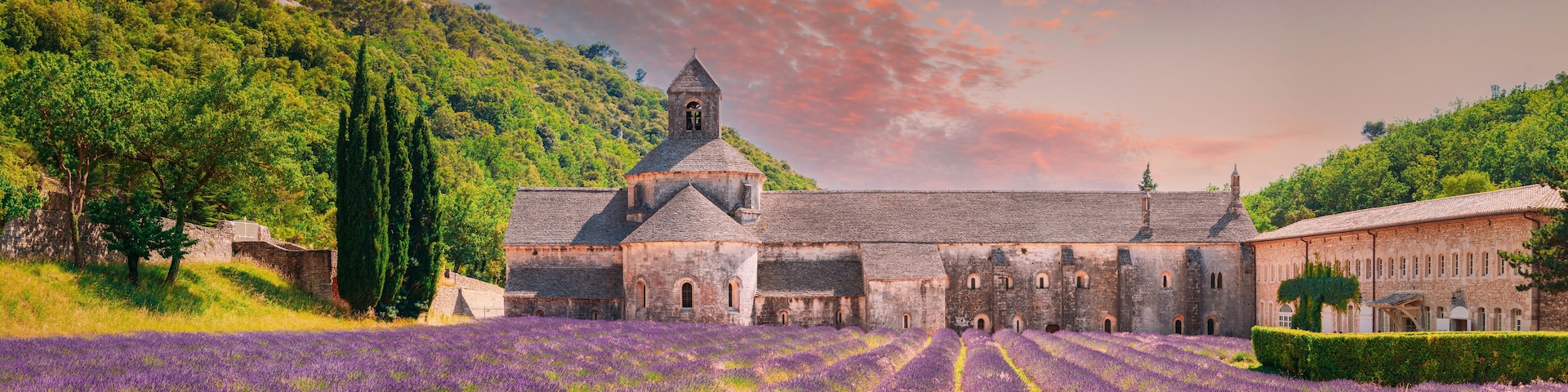 A historic building with a tower, surrounded by a lavender field and a hillside.