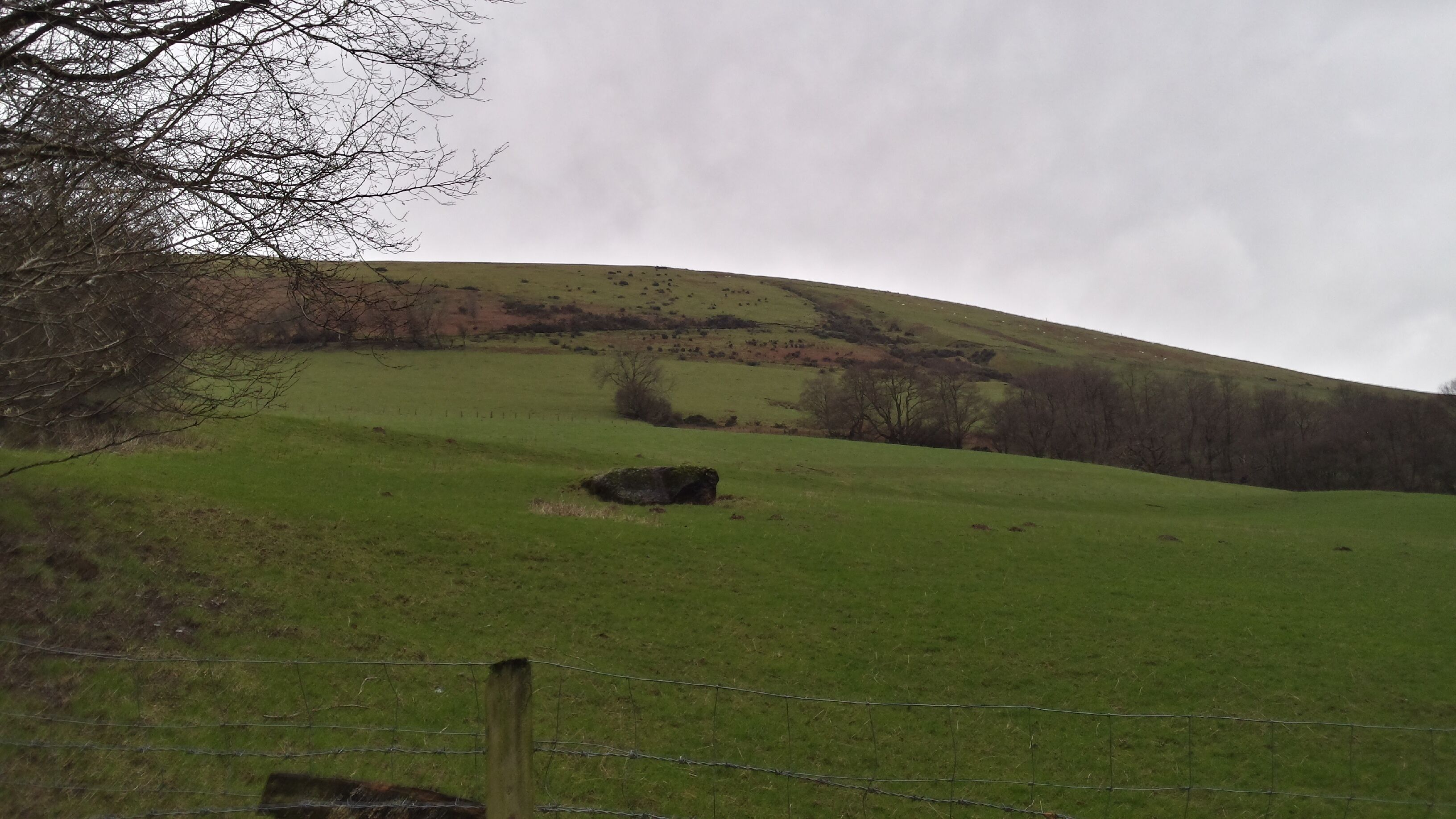 Landscape around Tafolwern, Powys