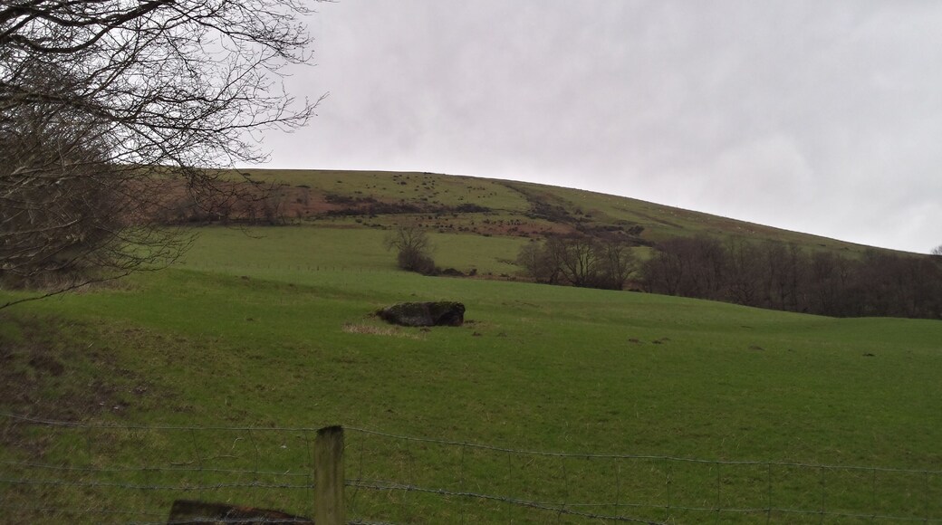 Landscape around Tafolwern, Powys