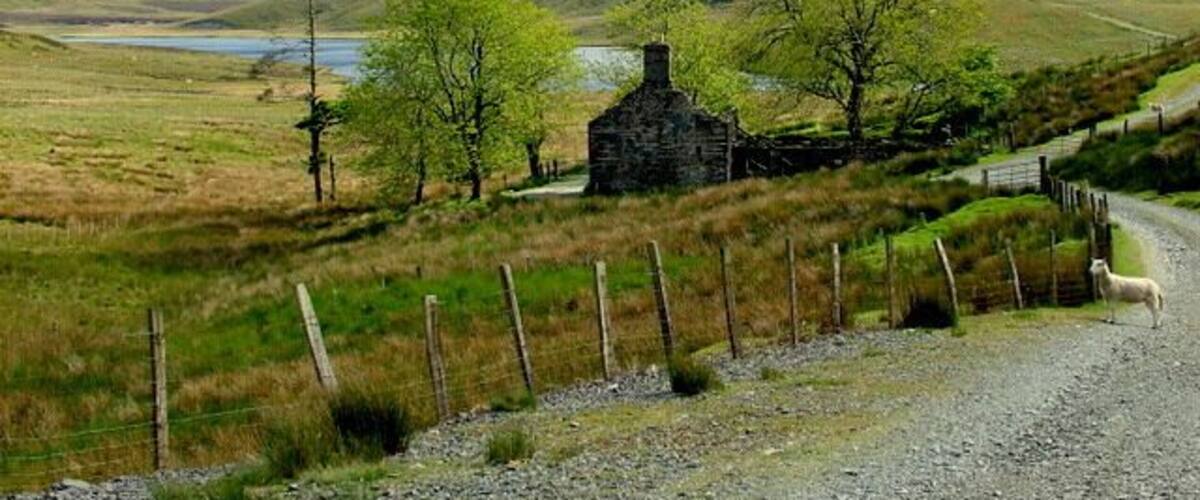 Derelict House at Bugeilyn Bugeilyn Lake can be seen beyond, with Plynlimon in the distance.