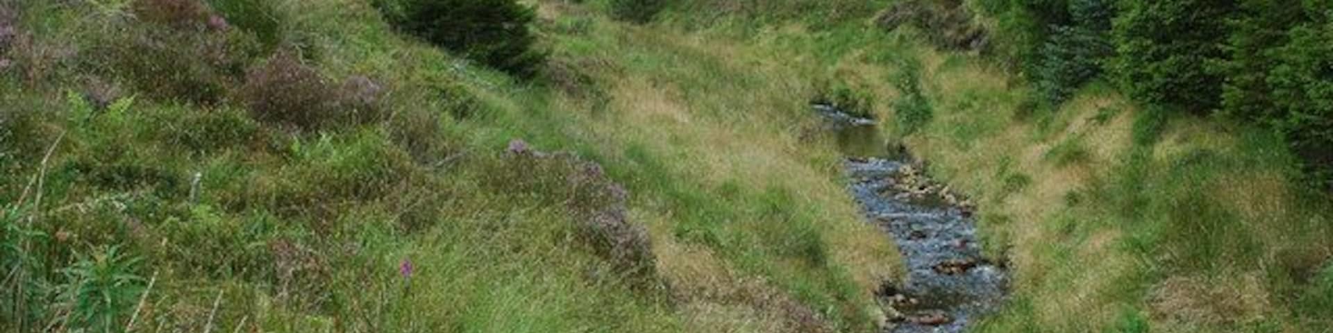 The young River Severn