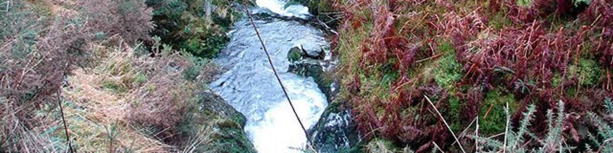 The River Severn. Here the infant river is confined by the steep sided valley beneath Craig Wen. The Severn Way path is just glimpsed near the top left. For more information about my walk in this area see 1121692.