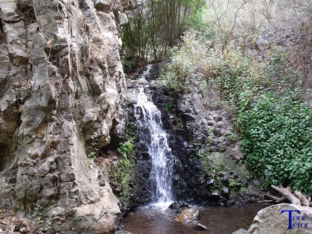 Cayendo agua eb una charca 1