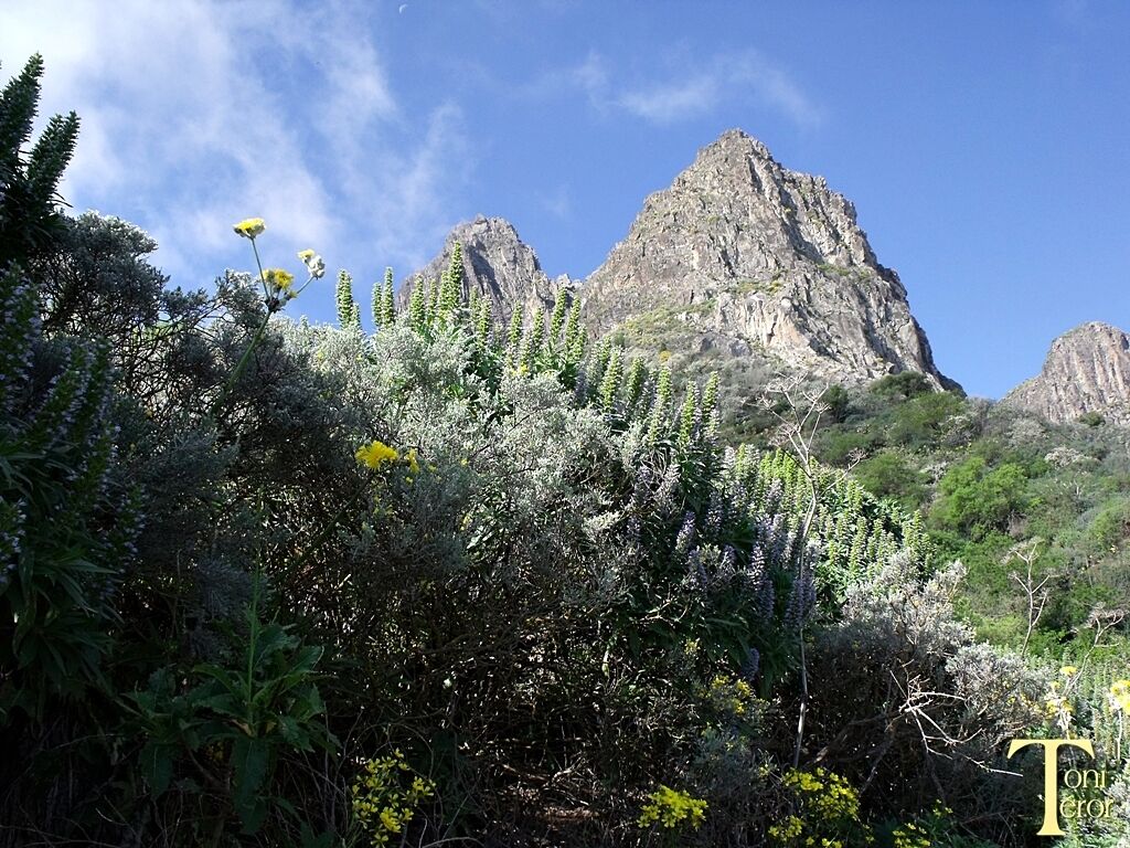 Roques de Tenteniguada 2