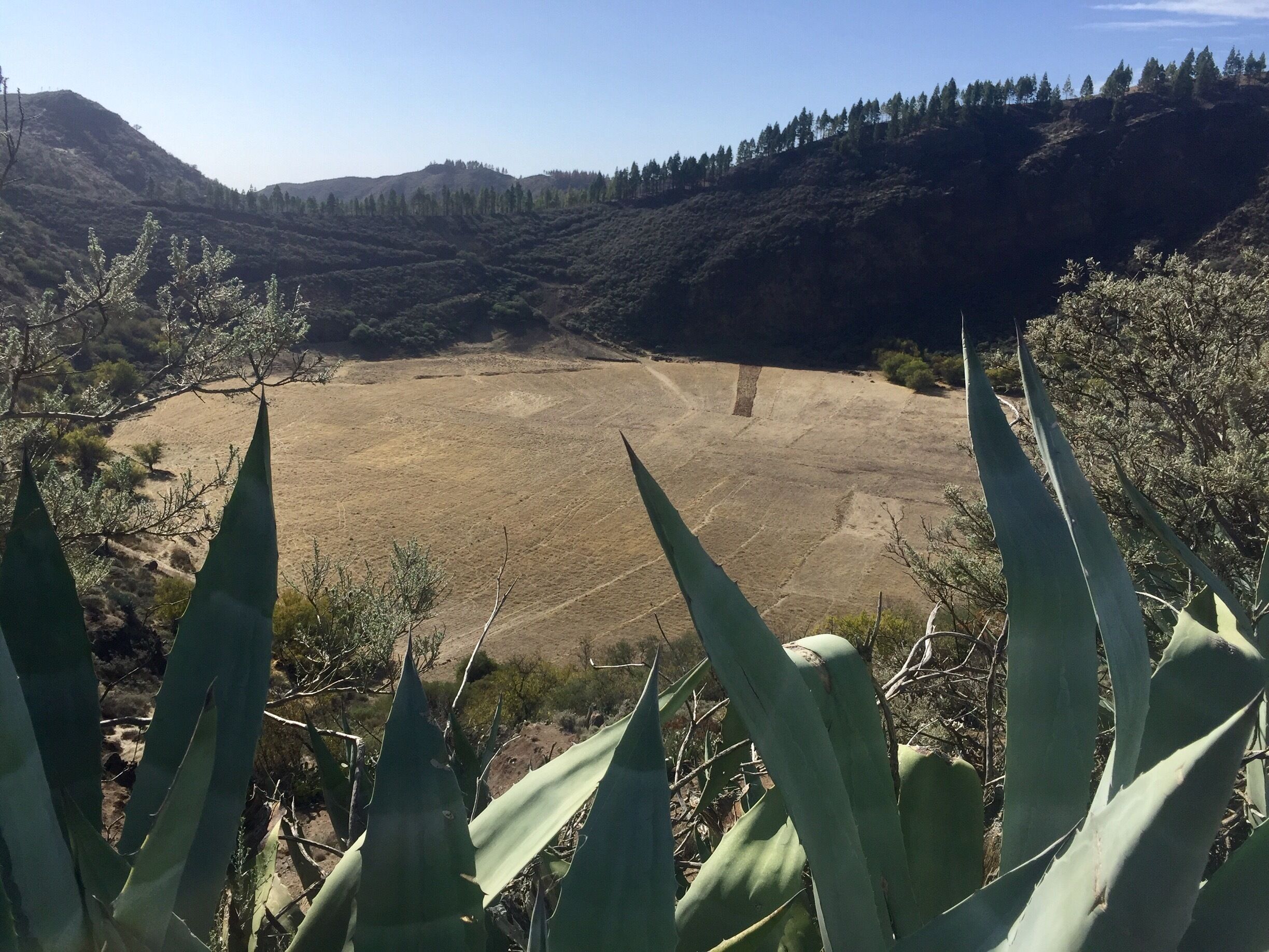A dry, open field with sparse vegetation and distant hills.