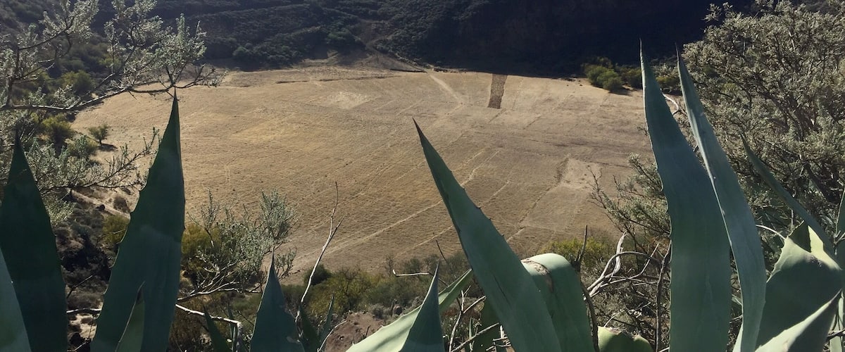 A dry, open field with sparse vegetation and distant hills.
