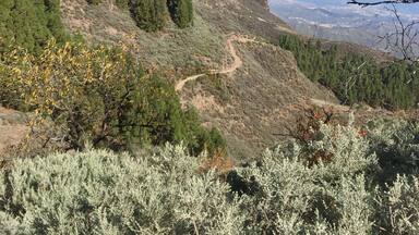 Un paisaje montañoso con un pico rocoso destacado, un sendero sinuoso y zonas boscosas densas.