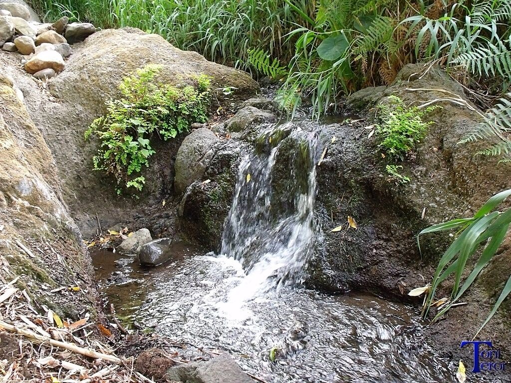 Pequeño salto de agua