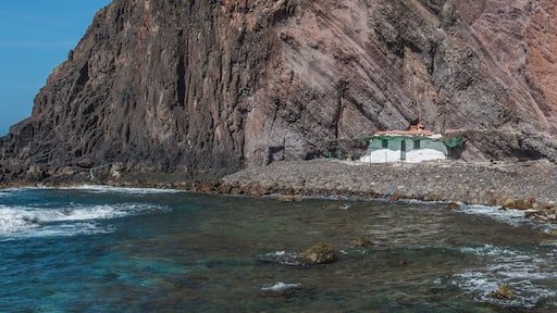 Sardina Gran Canaria January 2016