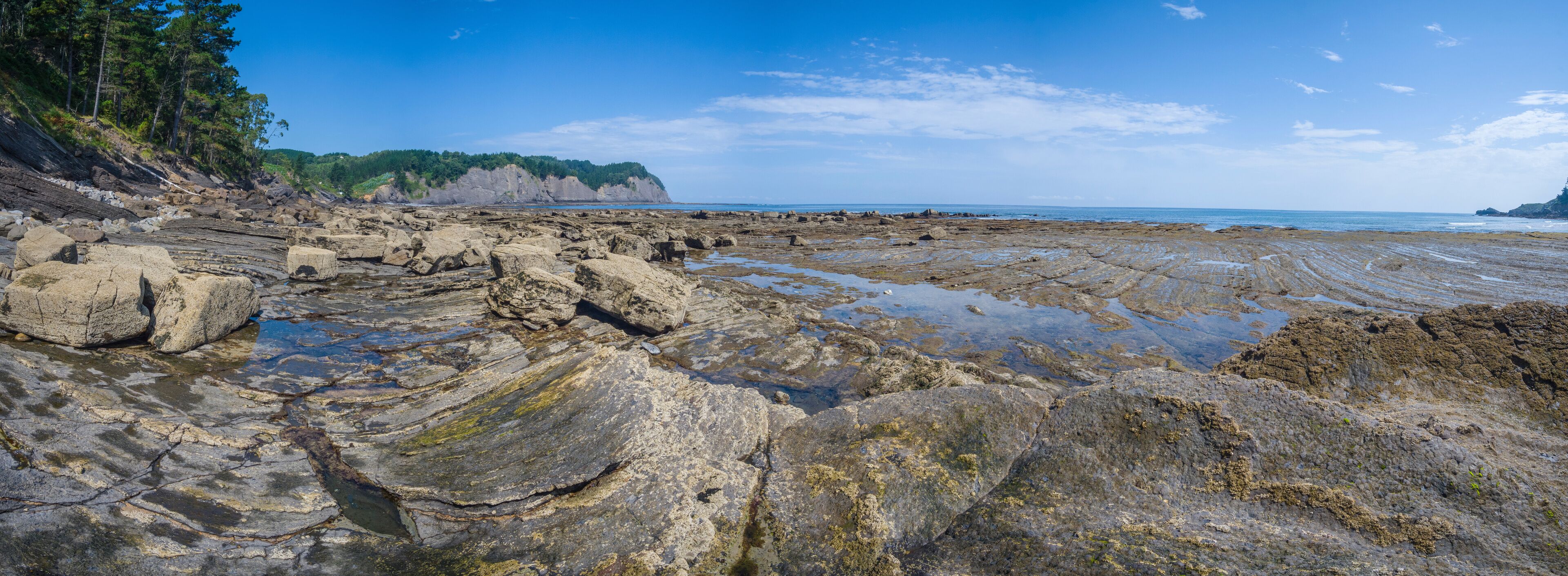 A rocky shoreline with tide pools and a forested cliff.