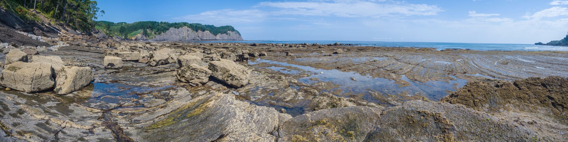 A rocky shoreline with tide pools and a forested cliff.