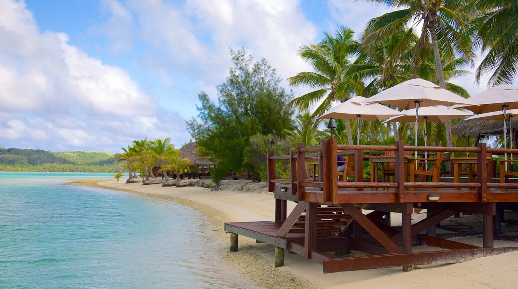 Akitua Island showing a beach and tropical scenes
