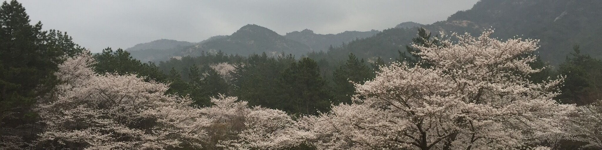 good place for sightseeing cherry blossom.
Wang-in birth place.
Wang-in is big scholar of confusion at 5th centry.
he moved to japan, spread his knowledges.