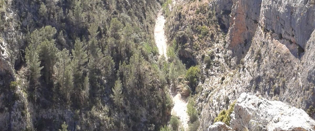 A canyon with a narrow path winding through dense forested areas.