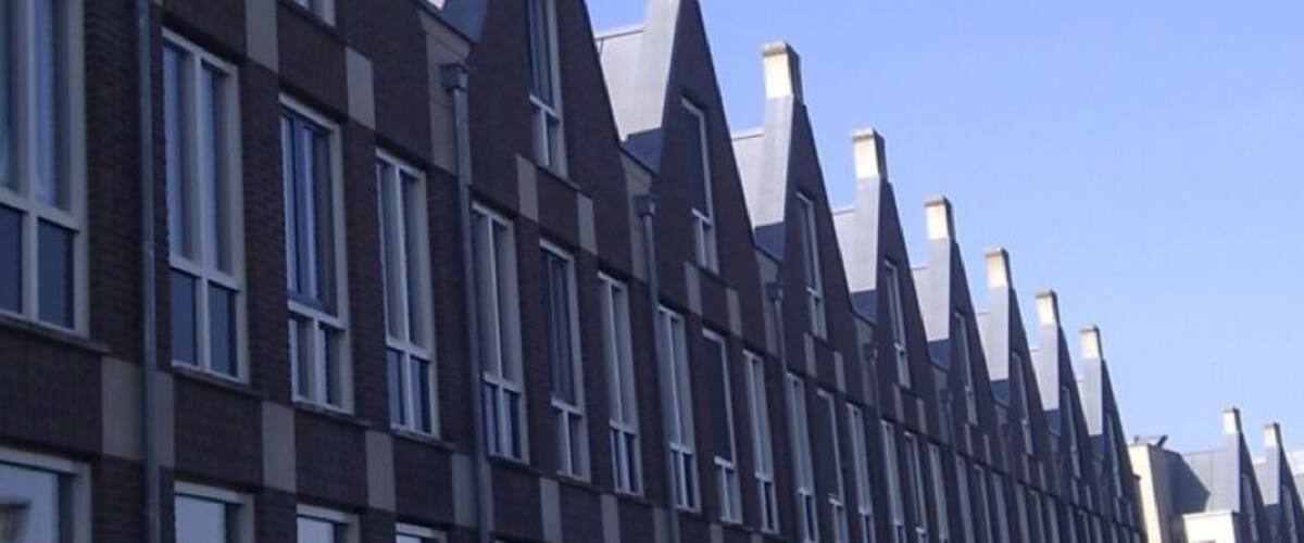 A row of modern houses with pointed roofs and uniform windows.