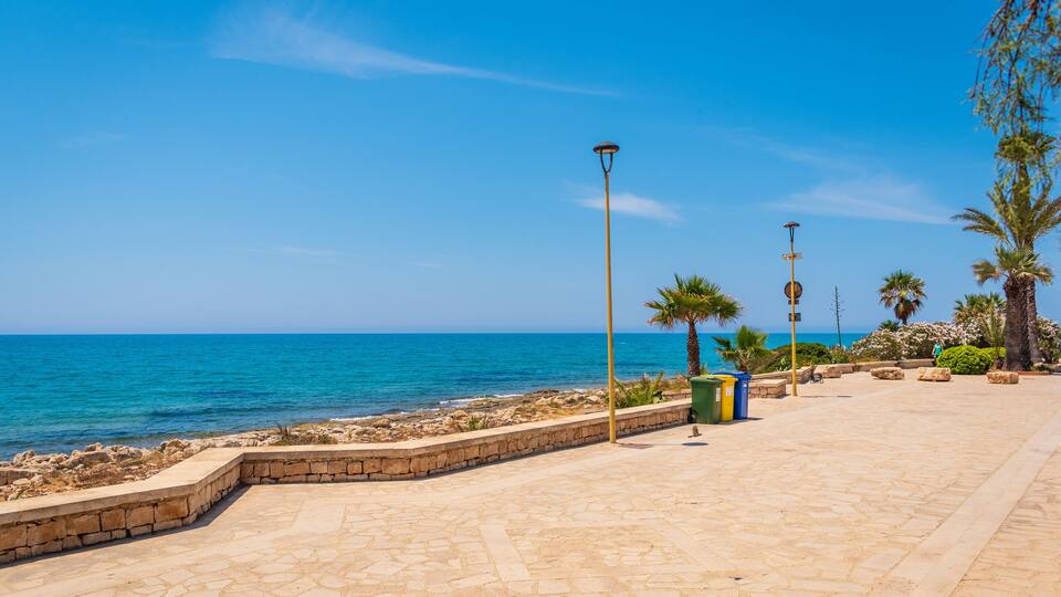 A coastal promenade with stone flooring, palm trees, and a clear blue sky.