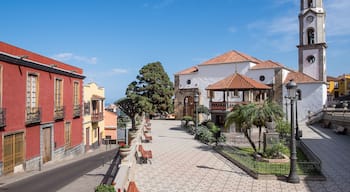 View of the garden square and the church of La Concepcion, in a neighborhood of Realejo Alto, north of Tenerife, Canary Islands; Shutterstock ID 758076595; Purchase Order: -
