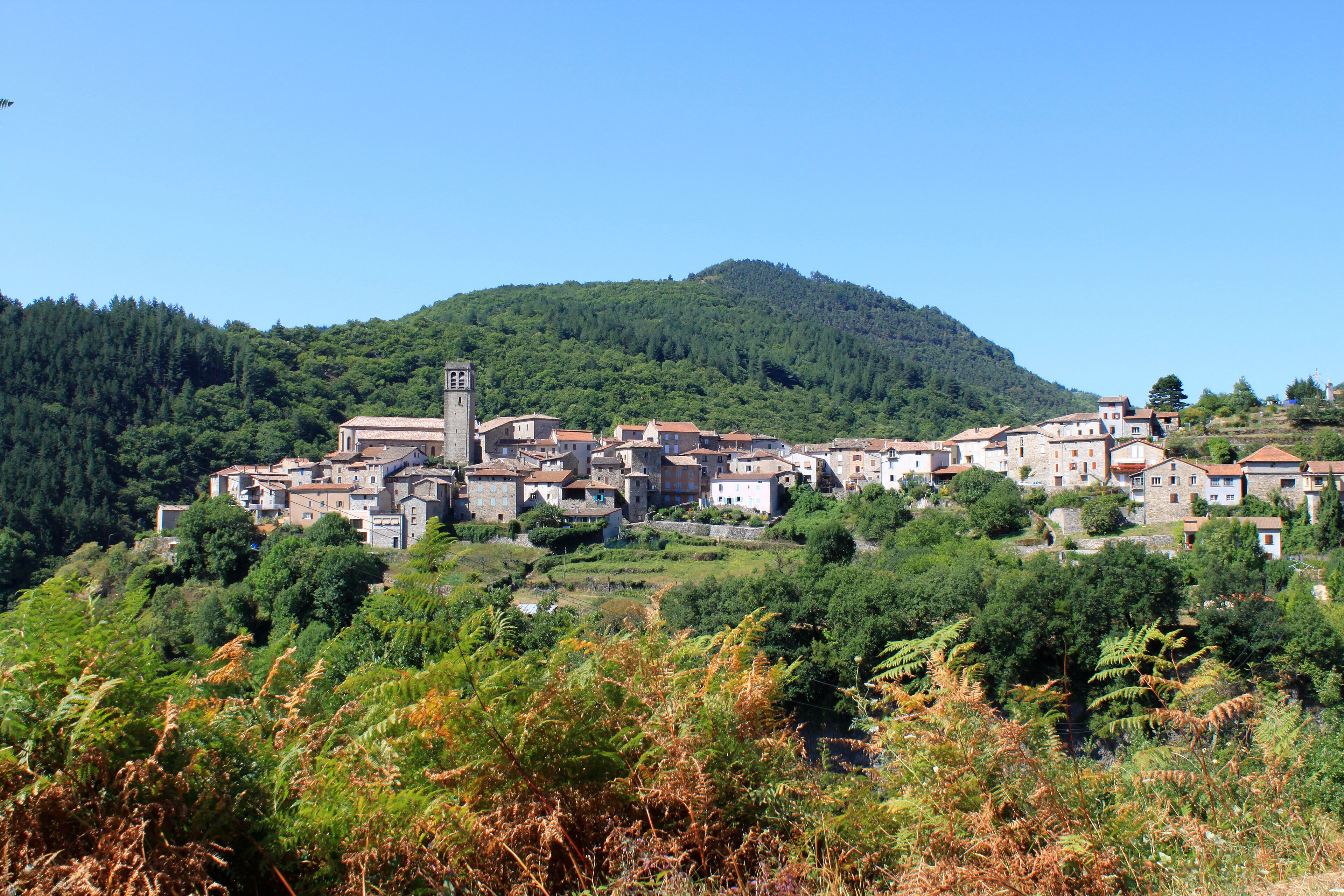 Saint-Cirgues-en-Montagne