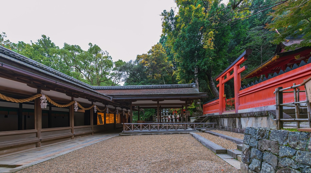 Kasuga-Taisha is Shinto shrine in Nara Prefecture in Japan and registered as UNESCO World Heritage Site. It is well known for its over 2000 stone lanterns and 1000 bronze suspended lanterns.