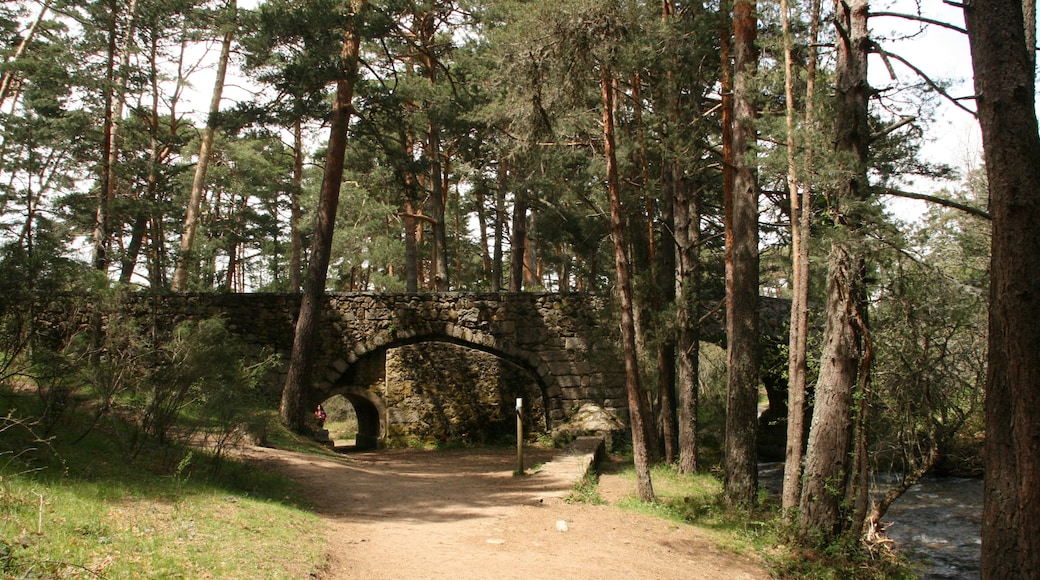 This is a photography of a Site of Community Importance in Spain with the ID: