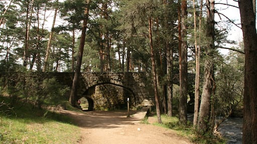 This is a photography of a Site of Community Importance in Spain with the ID: