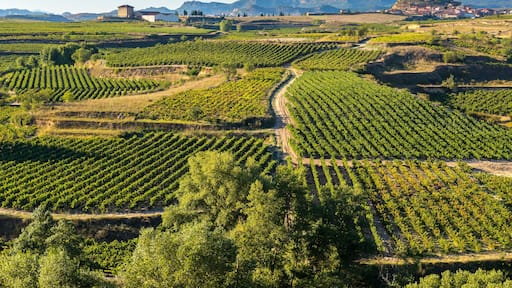 San Vicente de la Sonsierra