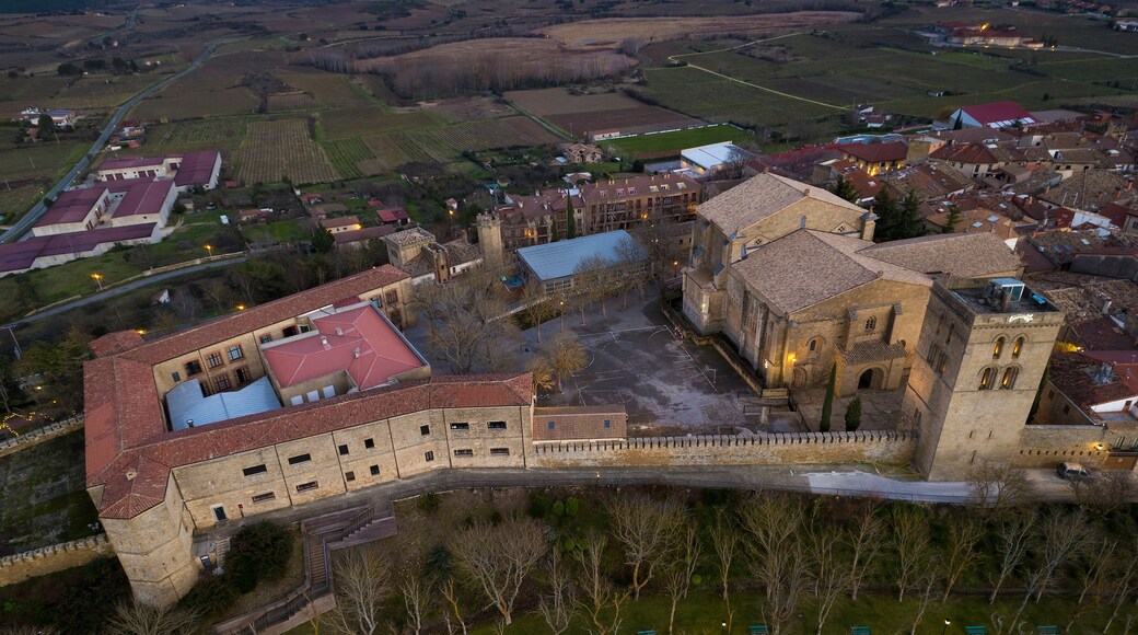 An aerial view of a historic town with a prominent castle, surrounded by fields and smaller buildings.