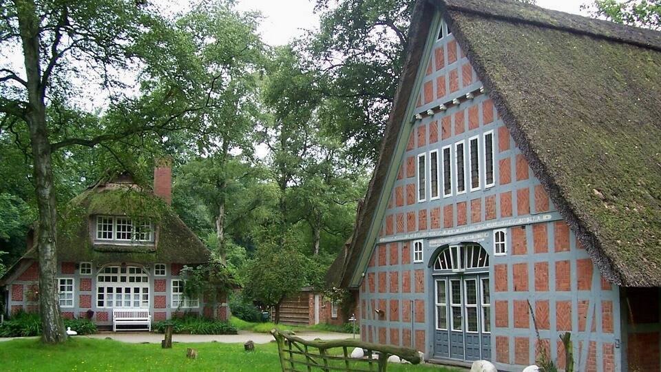 A traditional half-timbered house with a thatched roof, surrounded by lush greenery and trees.