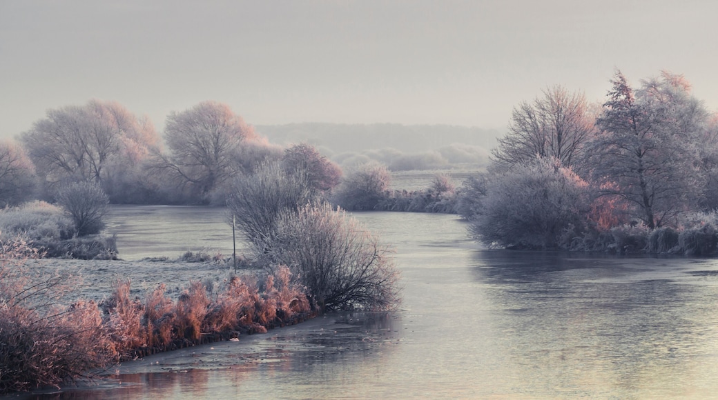 Winter im Teufelsmoor bei Bremen