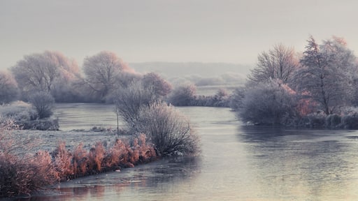 ヴォルプスヴェーデ