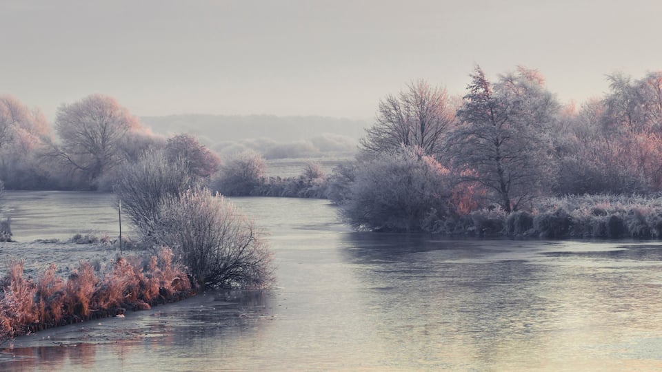 A river surrounded by frost-covered trees and bushes.