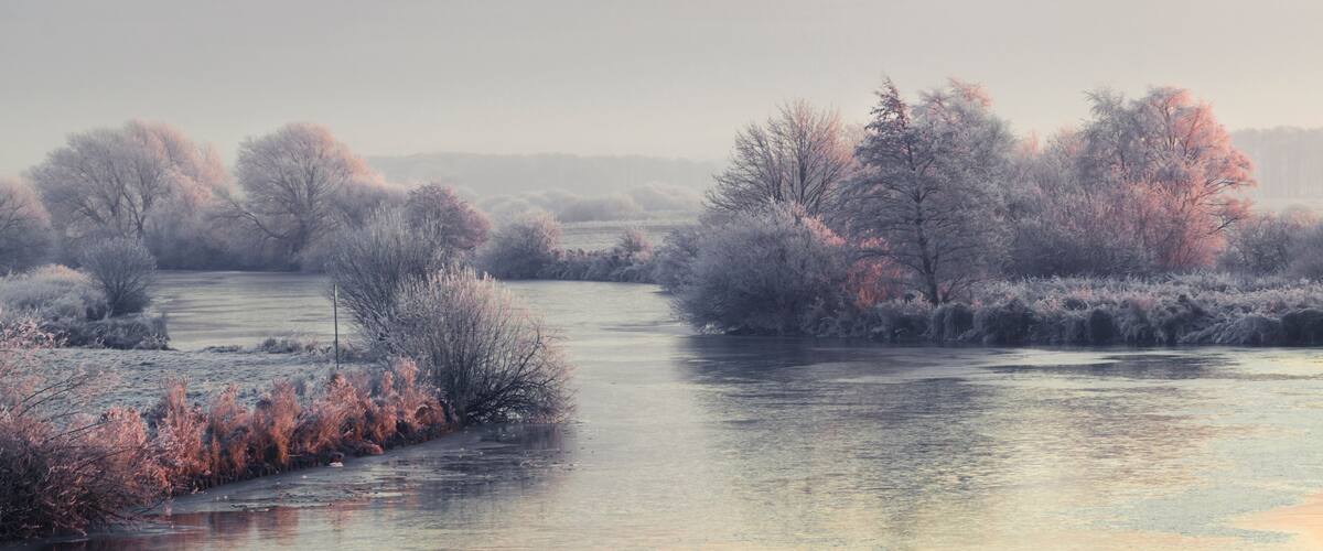 A river surrounded by frost-covered trees and bushes.
