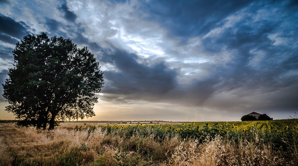 แคนทาเลโจ