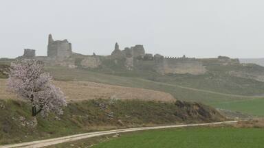 A historic castle on a misty hill with a clear path leading to it.