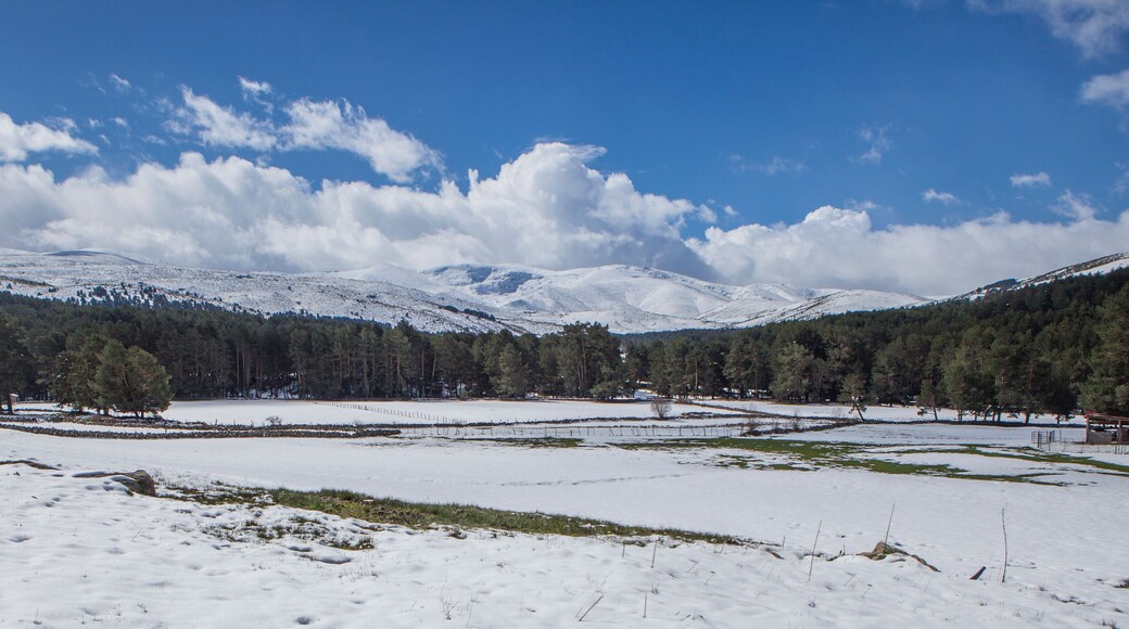 Landscape of snowy meadows in the Sierra de Gredos