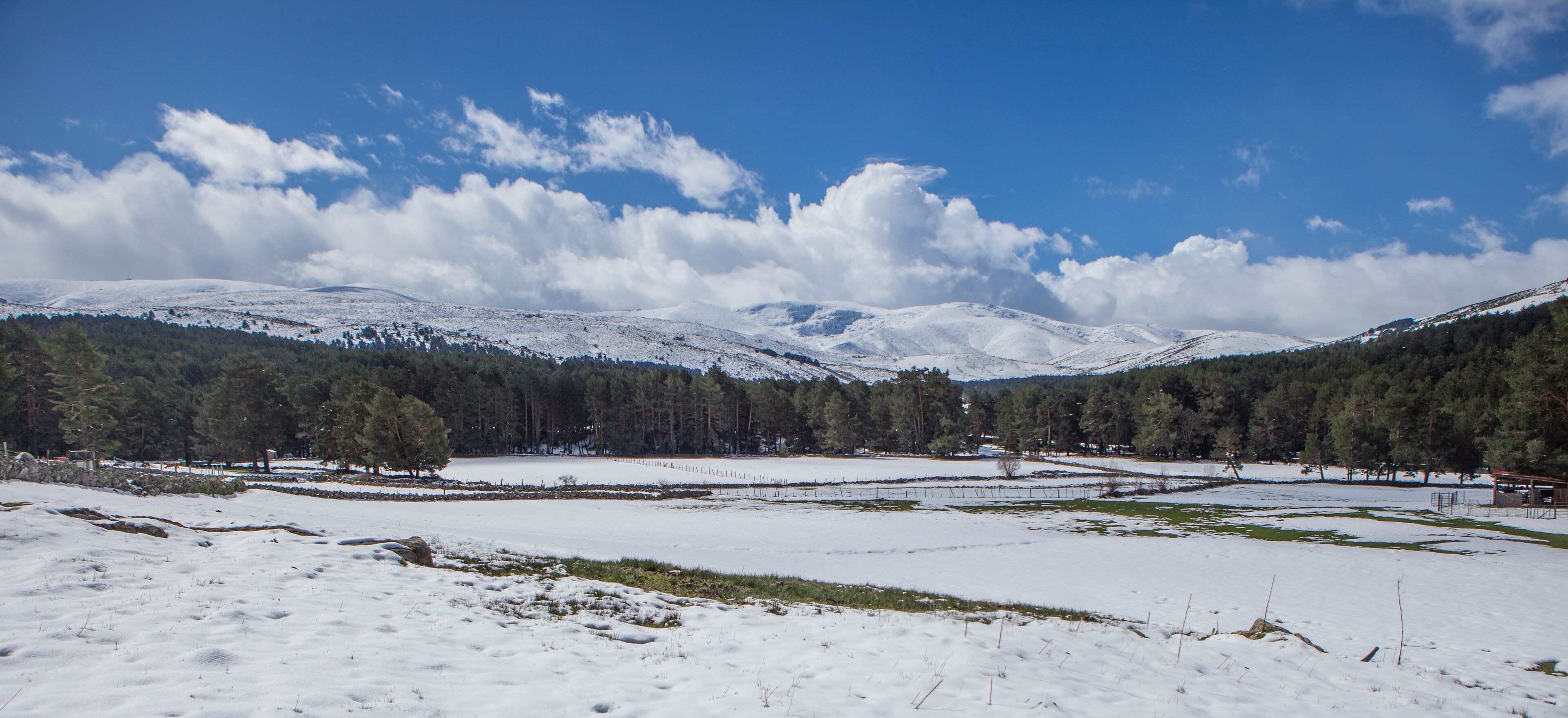 A snow-covered landscape with a clear blue sky, a forested mountain range, and a small body of water.