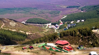 A mountainous landscape with a small settlement, roads, and forested areas.