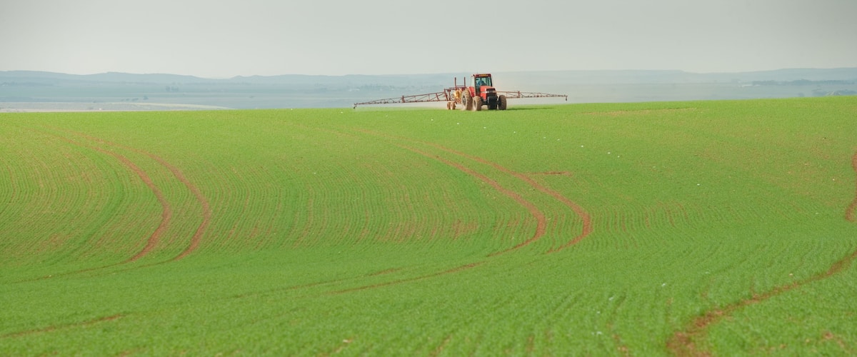 A tractor spraying crops in a vast green field with visible tire tracks.