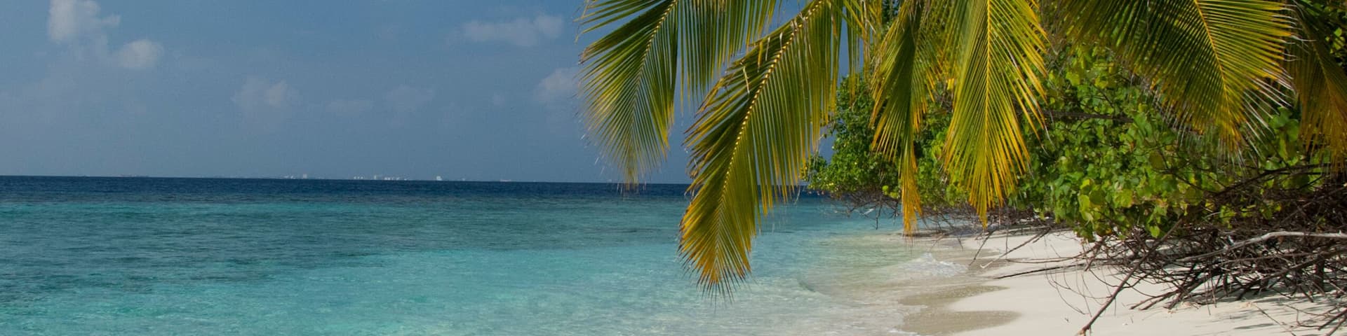 A tropical beach with clear turquoise water, white sand, and a palm tree.