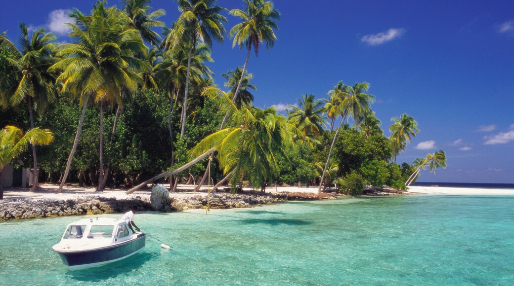 Boat Moored Off the Coast of Kuda Bandos, North Male Atoll, Maldives