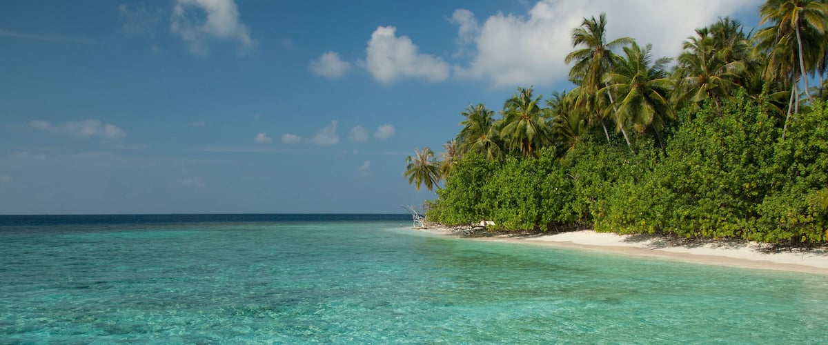A turquoise sea, a sandy beach, and a line of palm trees.