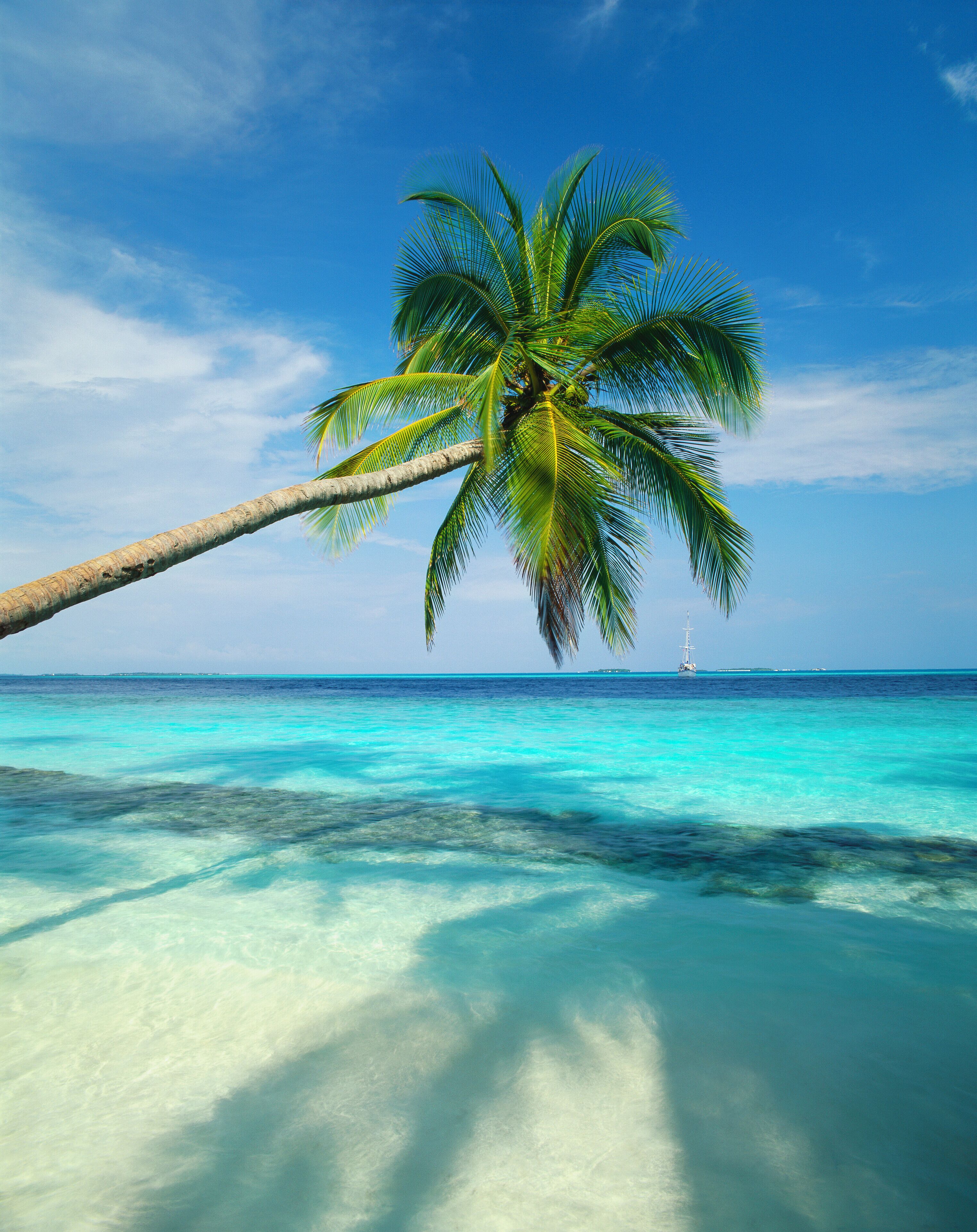 Kuda Bandos, North Male Atoll, Maldives