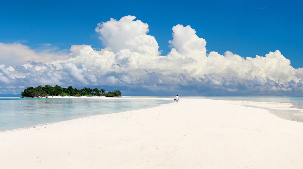 Tropical island panorama