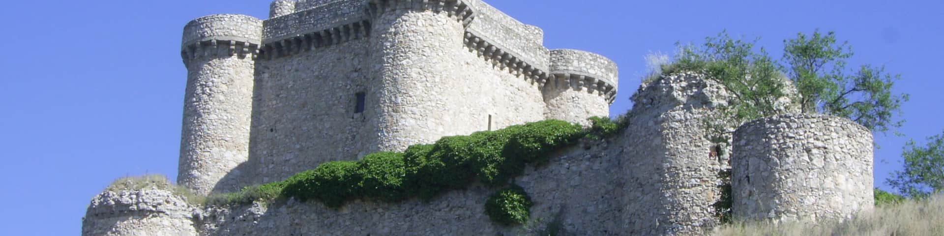 A medieval castle with stone walls and towers, surrounded by grass and trees on a hill.