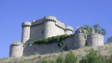 Un castillo medieval con muros y torres de piedra, rodeado de hierba y árboles en una colina.